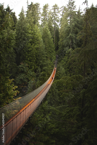 Capilano Suspension Bridge