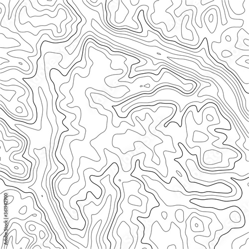 Topographic map background. Grid map. Abstract vector illustration.
