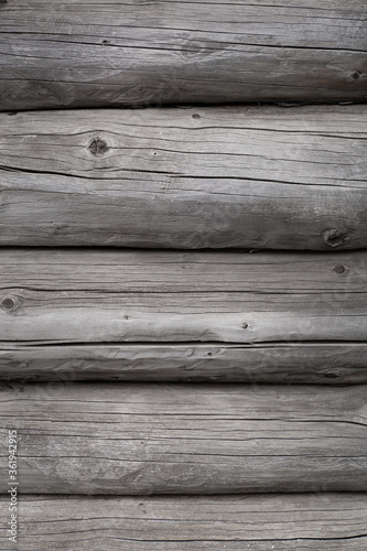 Wood texture. Old grey logs with knots. 