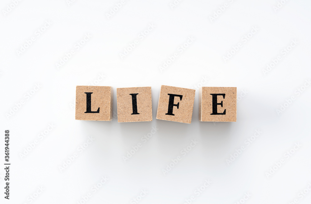 A wooden block with the word LIFE written on it on a white background A wooden block with the word LIFE written on it on a white background