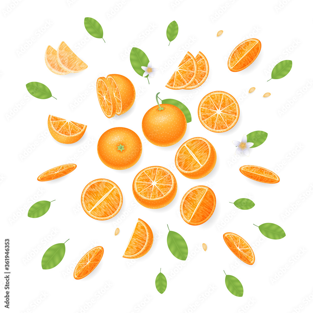 Vector illustration. Composition of slices of orange. Top view.