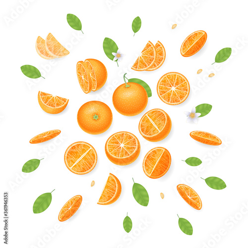 Fototapeta Naklejka Na Ścianę i Meble -  Vector illustration. Composition of slices of orange. Top view.