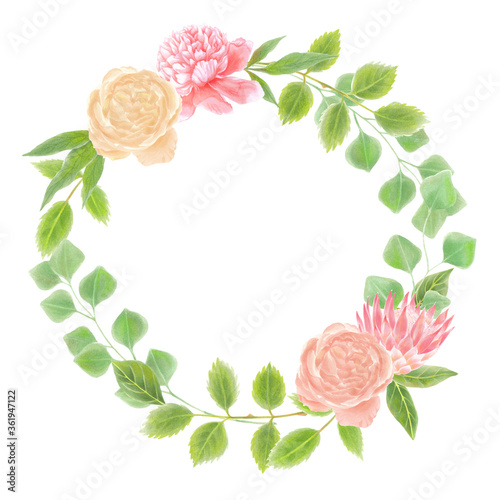 Protea flowers and peony, rose wheath frame with leaves photo