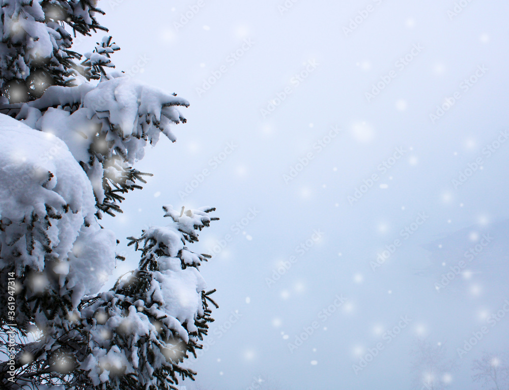 beautiful winter landscape with trees and snow, snowy weather in the forest beautiful winter landscape with trees and snow, snowy weather in the forest