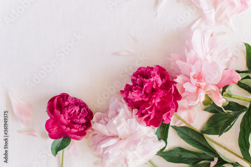 Stylish floral composition made of peonies with space for text on white background. Flat lay, top view blog hero header.