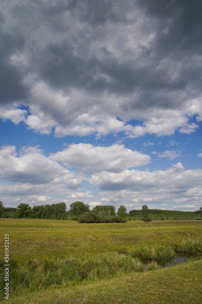Empty meadow pasture for cows, cattle, lambs. On a cloudy but sunny summer day. Tápióbicske - Hungary