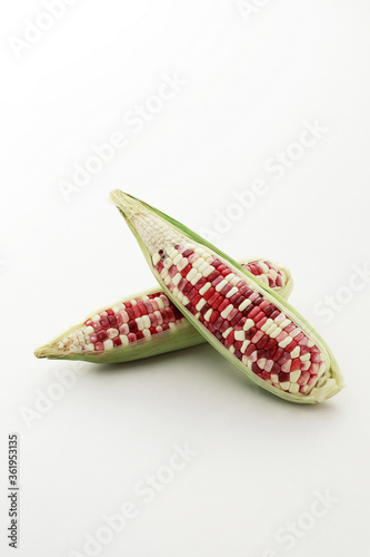 Maize photo