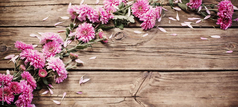 pink chrysanthemums on dark wooden background