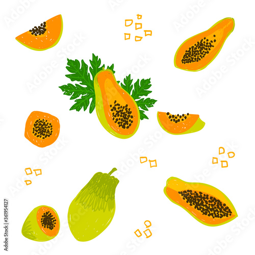 Papaya vector illustration set. papaya hand drawn pattern. Design template of whole papaya, cut fruit, sliced, half, leaves, seeds