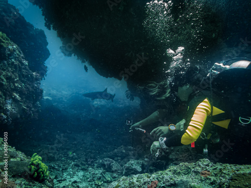 Quadro su tela Scuba divers are excited looking at a white-tip reef shark at a tropical coral reef in Gato Island, Malapascua, Philippines