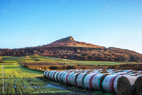 Roseberry Topping, North York Moors photo