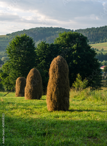 Pile of hay in the field