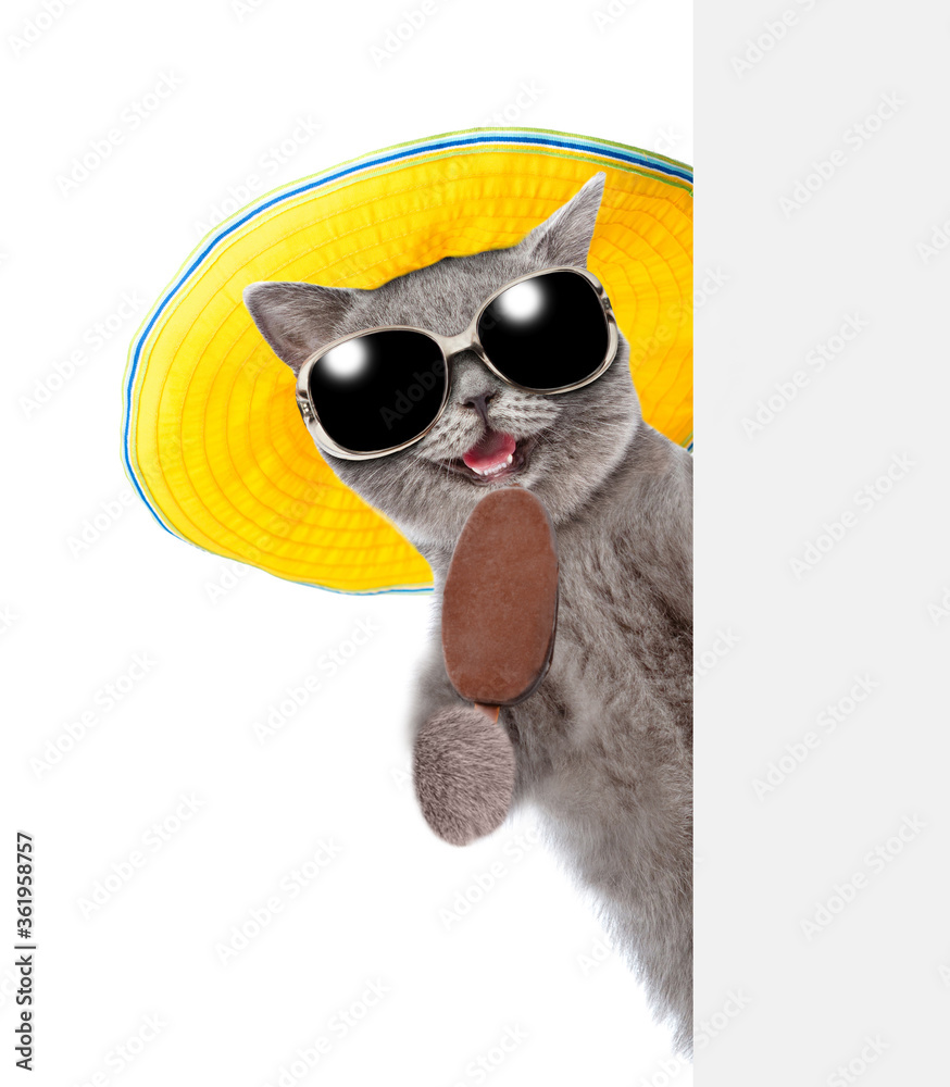 Happy cat wearing summer hat and  sunglasses holds ice cream and looks from behind empty board. isolated on white background