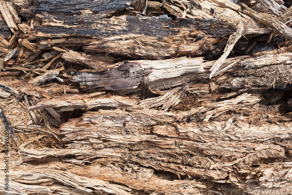 Closeup Ground at Lumberyard / Broken pieces of tree wood and bark as background, partly burnt Closeup Ground at Lumberyard / Broken pieces of tree wood and bark as background, partly burnt