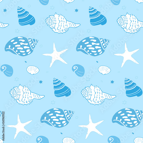 貝殻とヒトデのパターン © 尾之上ミケル