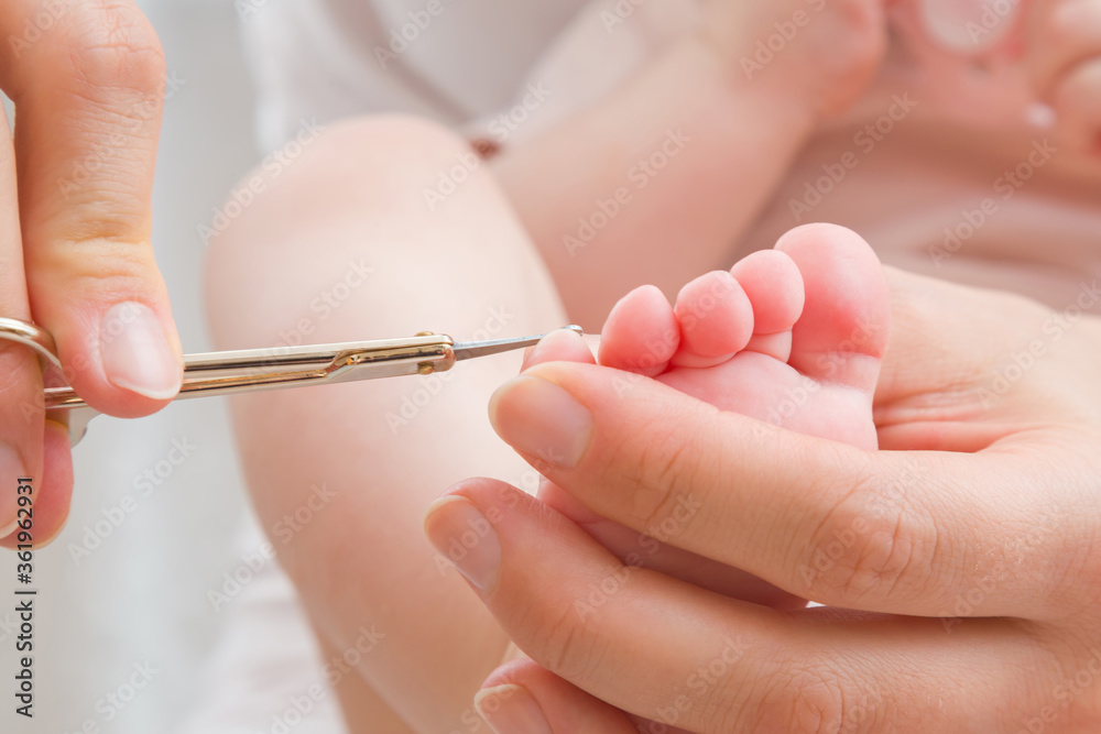 Young mother hand holding infant foot and cutting toenail with baby scissors. Closeup. Front view. Young mother hand holding infant foot and cutting toenail with baby scissors. Closeup. Front view.