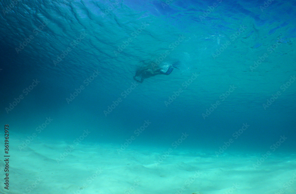 undewater scuba diver caribbean sea 