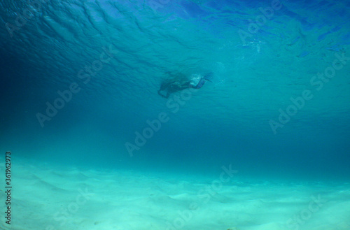 Wallpaper Mural undewater scuba diver caribbean sea  Torontodigital.ca