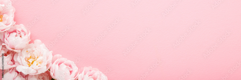 Obraz premium Fresh roses on light pink table background. Pastel color. Beautiful flower wide banner. Closeup. Empty place for inspirational text, lovely quote or positive sayings.