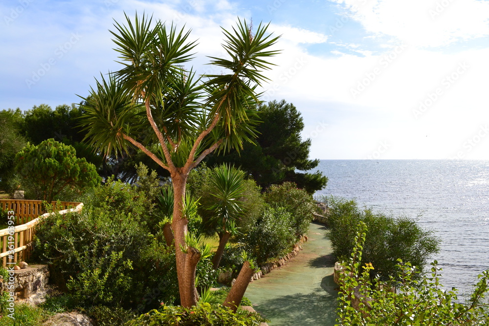 Green Mediterranean sea coast of Calamosca beach in sunny day, Cagliari, Italy. Beautiful landscape wallpaper. 

