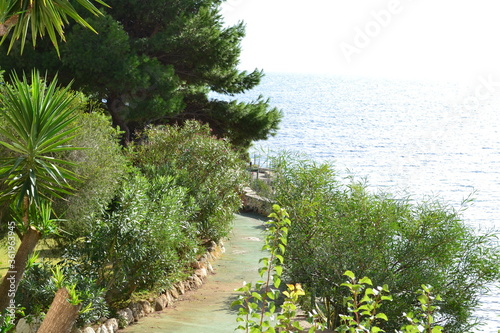 Green Mediterranean sea coast of Calamosca beach in sunny day, Cagliari, Italy. Beautiful landscape wallpaper. 

 photo