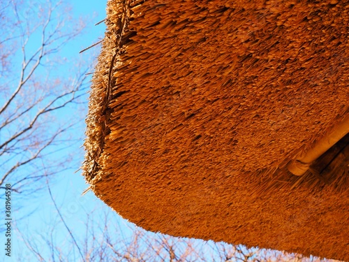 Wallpaper Mural traditional Japanese style house inside of thatched roof Torontodigital.ca