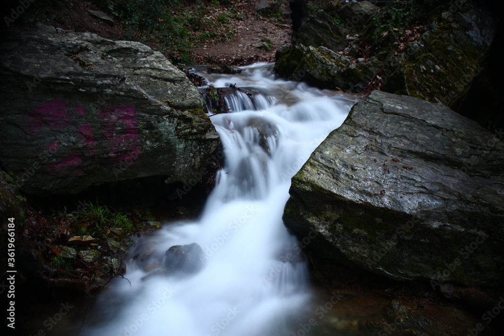 Fototapeta premium A floating river at mountain Pelion 