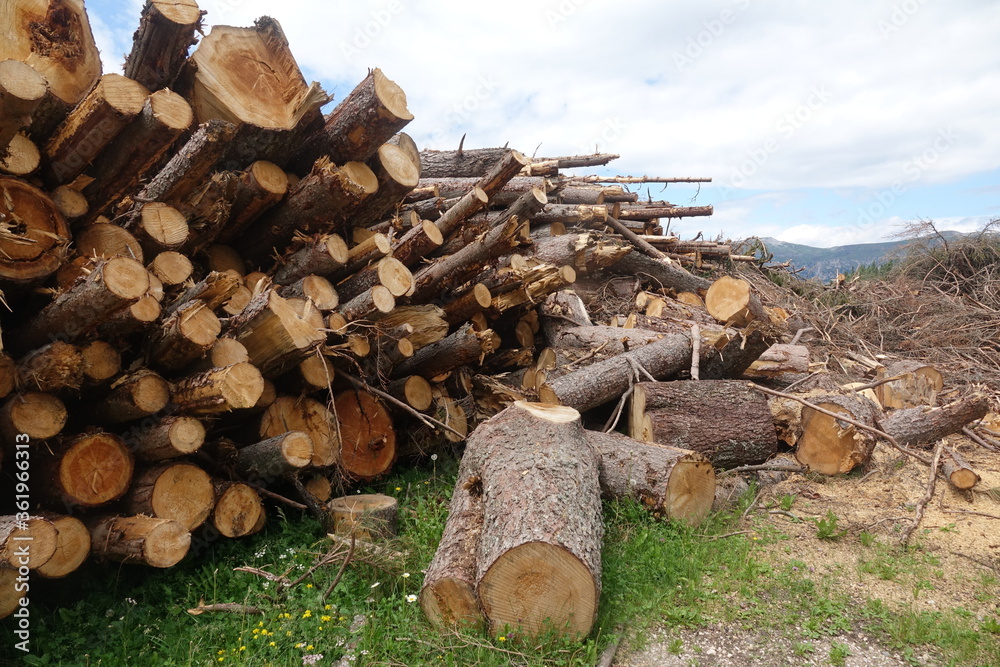 Holzstoß am Rosengarten in Italien Holzstoß am Rosengarten in Italien