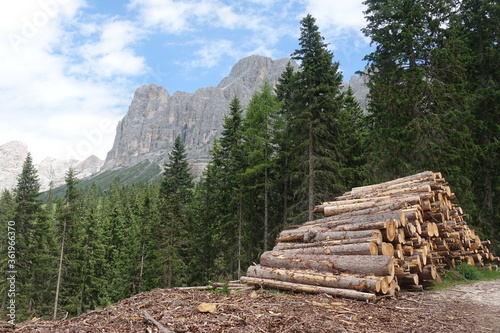 Holzstoß am Rosengarten in Italien