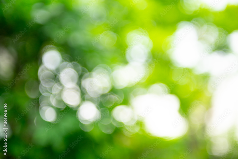 Obraz premium 緑の背景