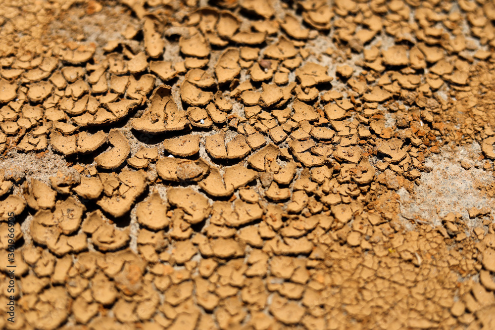 Fototapeta premium cracked clay ground into the dry season