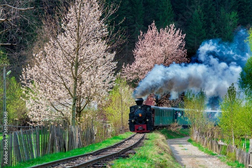 Spring at Mocanita Maramures from Romania steam train railway in a beautiful day
