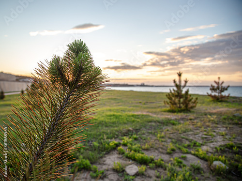 Beautiful landscape by the sea at sunset. photo