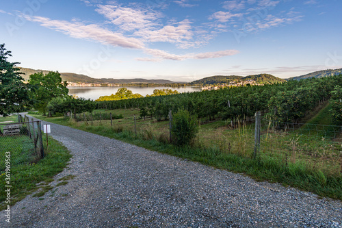 Premium hiking trail Seegang on Lake Constance