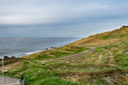 Shiroyone Senmaida Rice Terraces with sea view and illuminations on Noto Peninsula, Japan photo