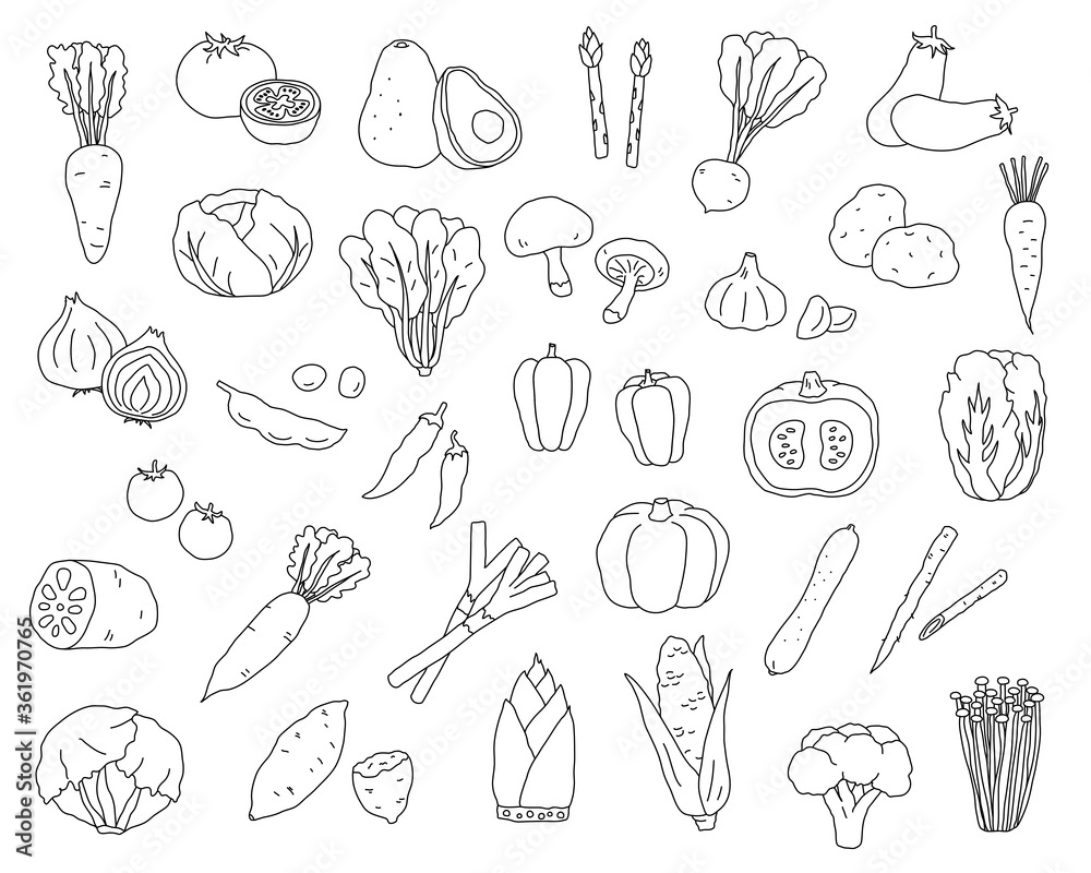 手書きの野菜のイラストのセット シンプル おしゃれ 線画 Stock Vector Adobe Stock