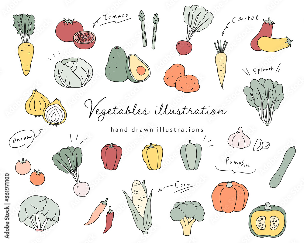 手書きの野菜のイラストのセット シンプル おしゃれ 線画 Illyustraciya Stock Adobe Stock