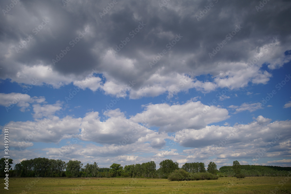 Empty meadow pasture for cows, cattle, lambs. On a cloudy but sunny summer day. Tápióbicske - Hungary Empty meadow pasture for cows, cattle, lambs. On a cloudy but sunny summer day. Tápióbicske - Hungary