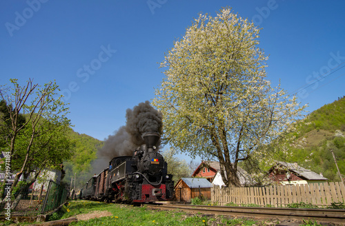 Spring with Mocanita Steam Train from Romania landscape
