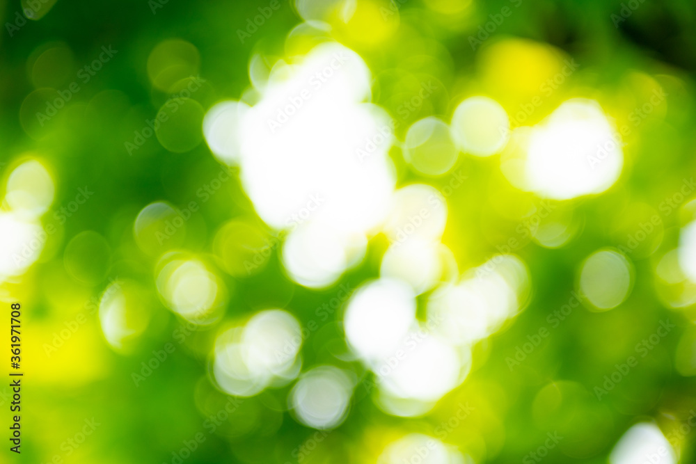 Obraz premium 緑の背景