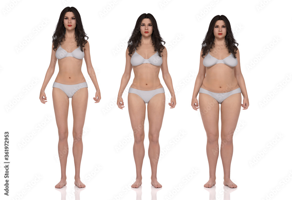 afeitado omitir Mal humor 3D Rendering : standing female body type illustration : ectomorph (skinny  type), mesomorph (muscular type), endomorph(heavy weight type) ilustración  de Stock | Adobe Stock