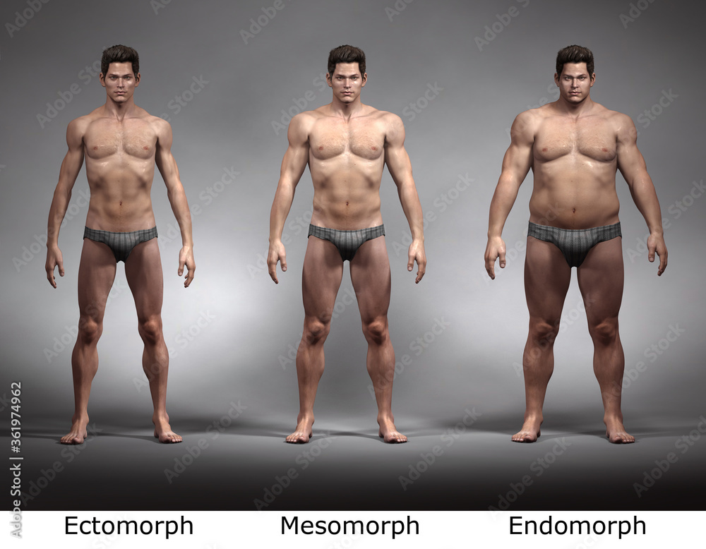 3D Rendering : standing male body type illustration : ectomorph