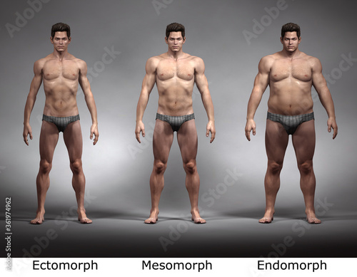 3D Rendering : standing male body type illustration : ectomorph (skinny type), mesomorph (muscular type), endomorph (heavy weight type),Front View photo