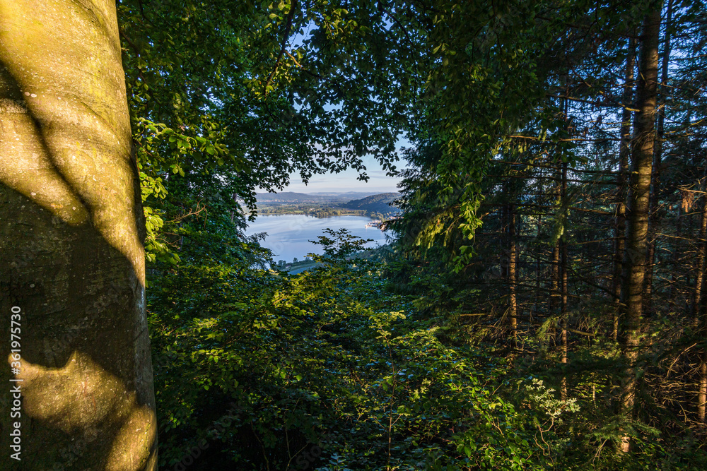 Fototapeta premium Premium hiking trail Seegang on Lake Constance