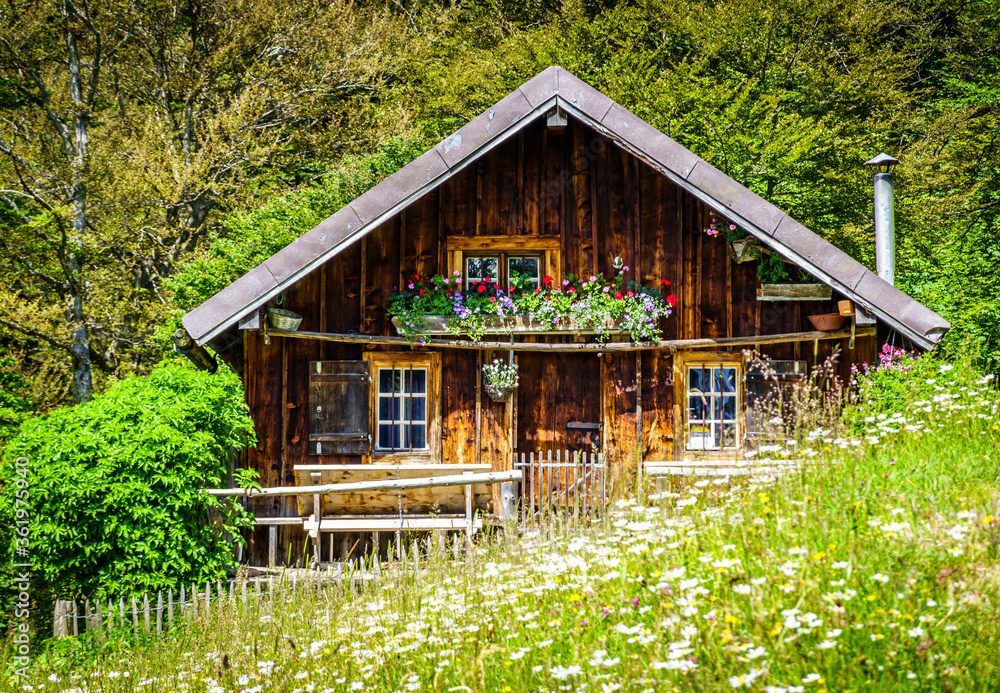 old farmhouse at the european alps old farmhouse at the european alps