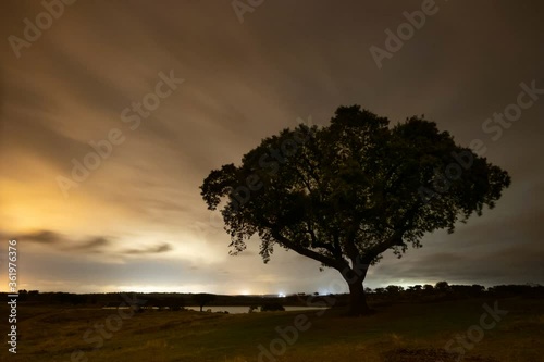 Time lapse of a lonely tree in the night sky fo Alqueva Dark Sky