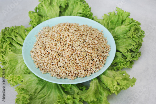 Sprouted green buckwheat in a plate. Green lettuce leaves. Super Food for Good Health. Food background.