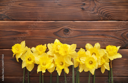 Yellow daffodils on wooden background