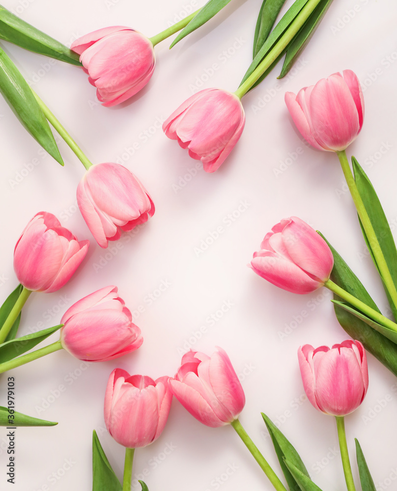 Pink tulips on white background. Top view Pink tulips on white background. Top view