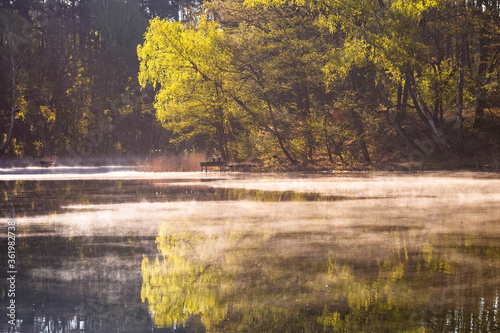 Morning mist on Dziarg lake, Poland, Kosobudz